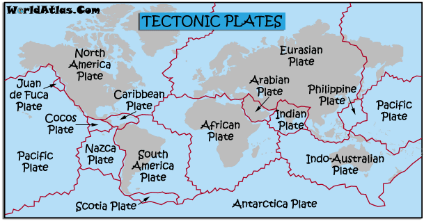 continental plate