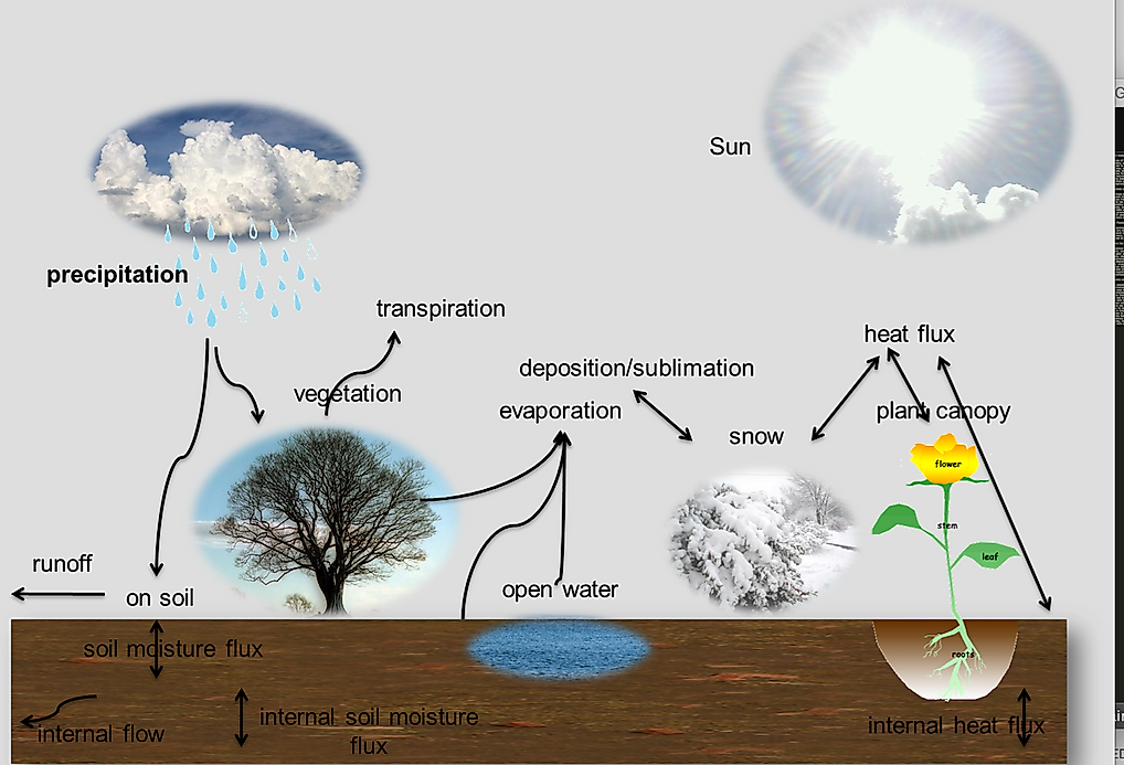 What Is Evapotranspiration? - WorldAtlas.com