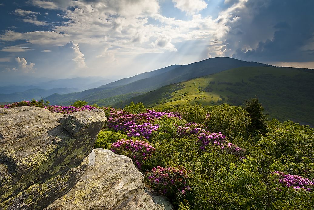 How Long Is The Appalachian Trail? - WorldAtlas.com