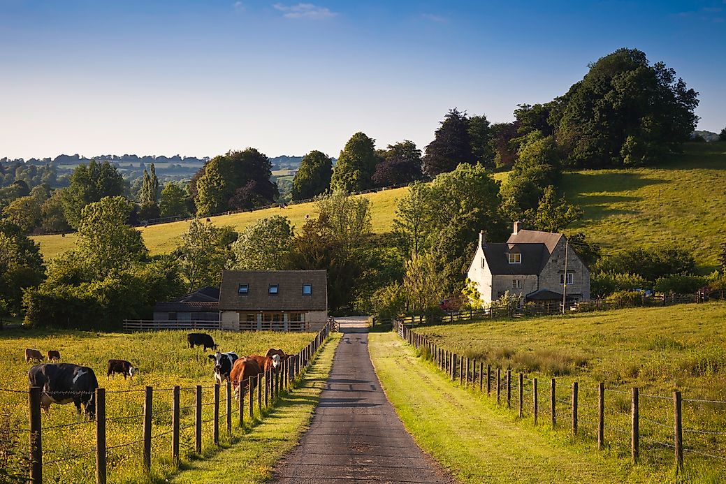 The Top 20 Agricultural Products Of The United Kingdom WorldAtlas