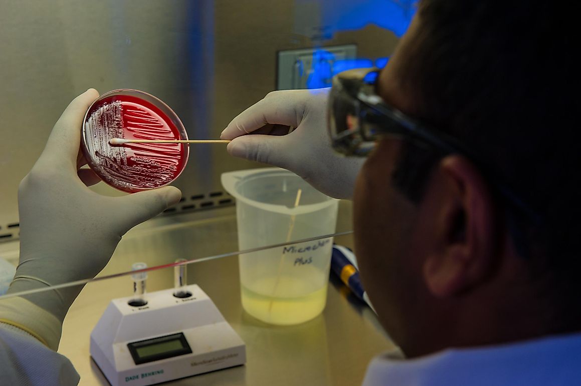 How Can You Get A Covid-19 Testing Kit