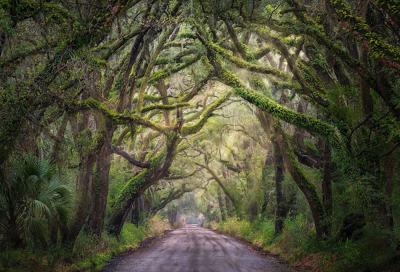 Best Road Trips To Take In South Carolina Worldatlas