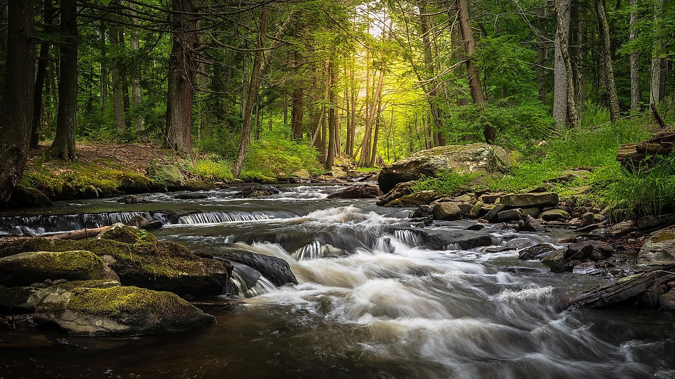 7 Most Affordable Towns To Retire In The Poconos WorldAtlas