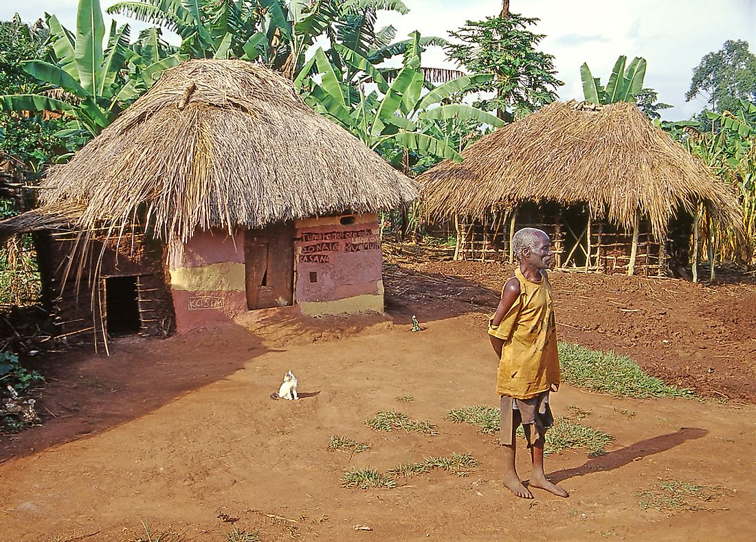 Traditional East African huts, such as these in the Buikwe region, still list among the predominant forms of residential architecture in rural Uganda.