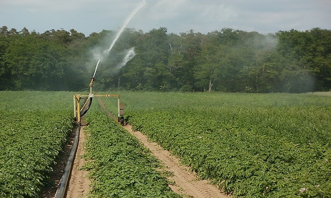 An irrigated crop field.