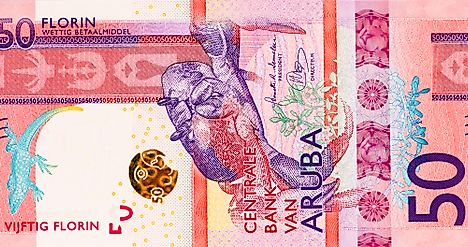 Aruba 50 Florin 2019 Banknotes