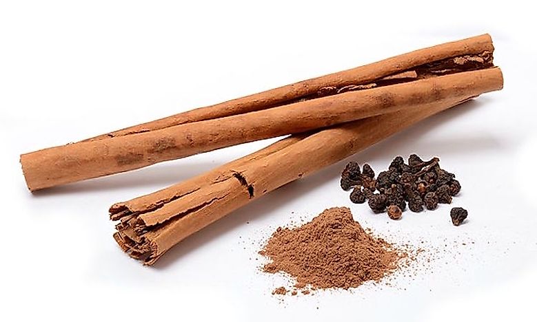 Where Does Mexican Cinnamon Come From