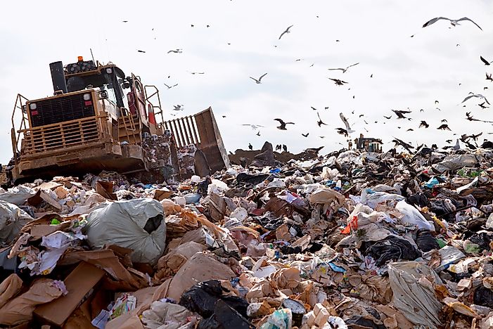 Food Decomposition In Landfills