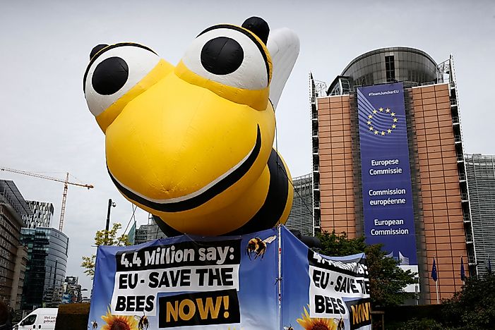 European Union moves to full ban pesticides that harm bees European Union moves to full ban pesticides that harm bees