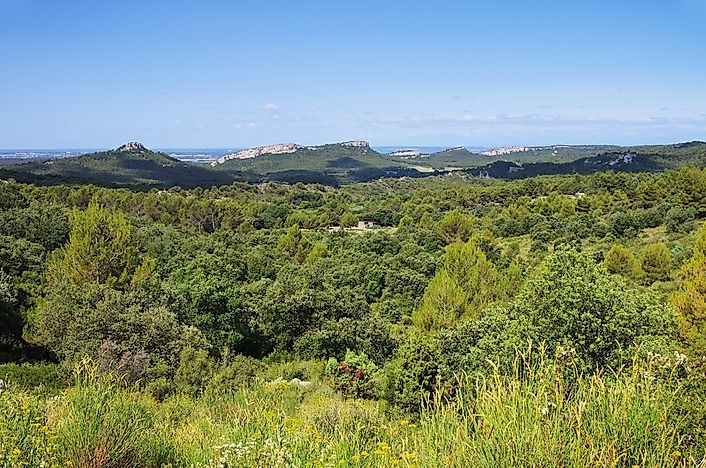 the-different-types-of-shrubland-biomes-across-the-world-worldatlas