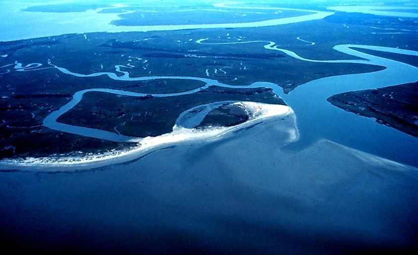 Otter Island in the ACE Basin, South Carolina