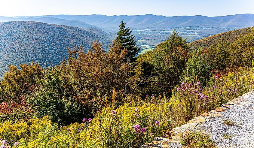 View from the side of Mount Greylock in the fall in Lanesborough, Massachusetts, USA