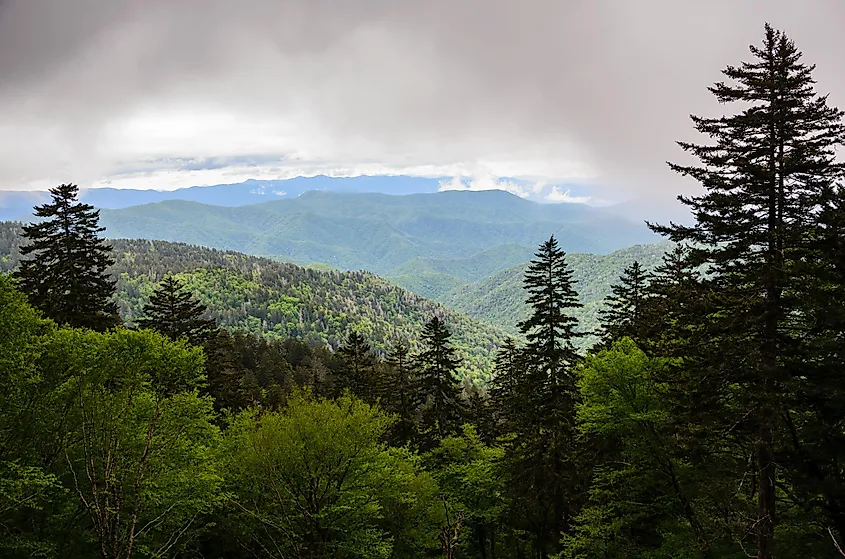 Forested ridges of Great Smoky Mountains National Park