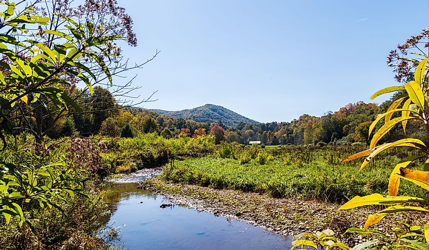 River in the forest, The Virginia Creeper Trail, Abingdon, Virginia. Image credit FotoKina via Shutterstock