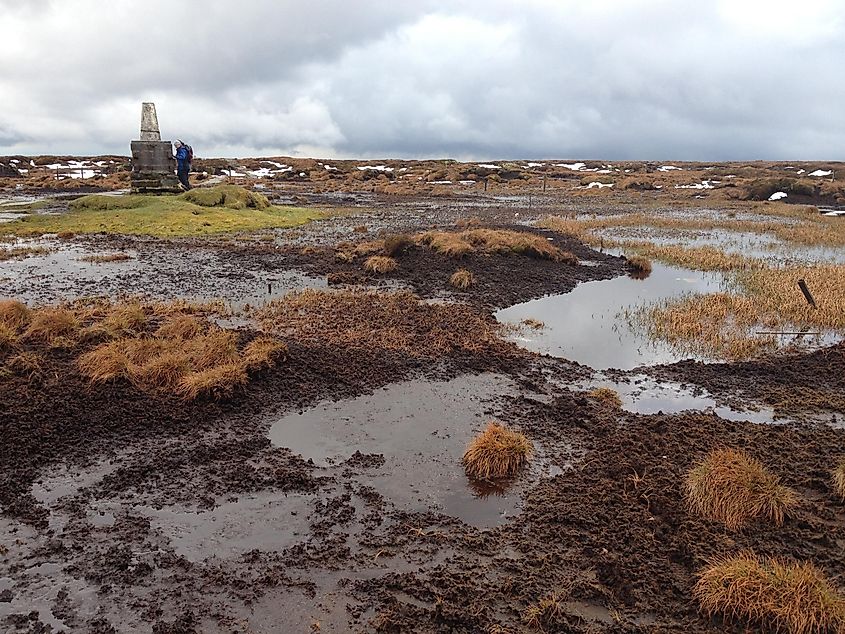 Northumberland Peat Partnership aims to bring stakeholders together to collectively facilitate positive management and restoration of peatland habitats focussing on the Partnership Area