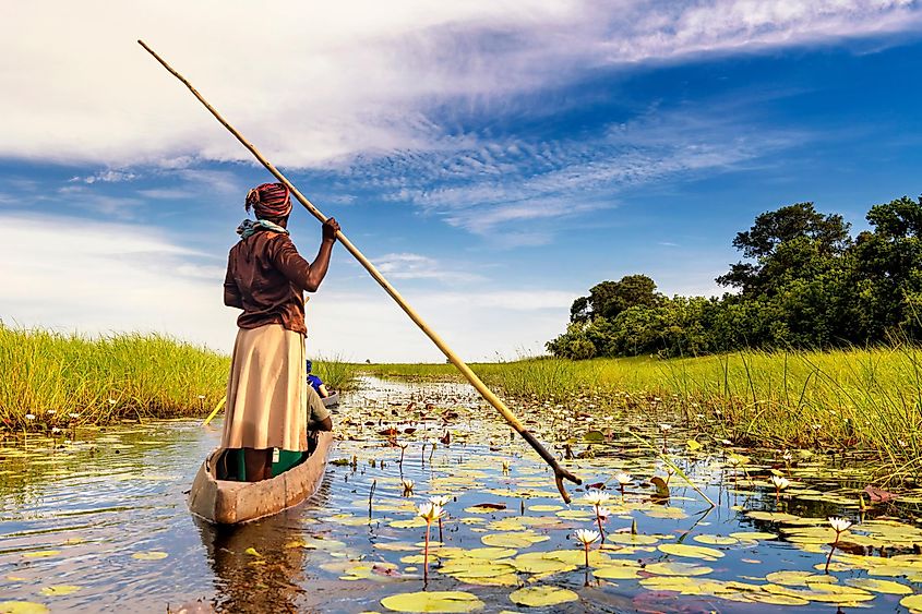 In the dugout canoe through the Okavango Delta, Botswana. Image used under license from Shutterstock.com.