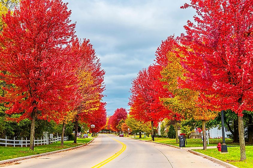 A riot of fall colors in Kewaunee, Wisconsin