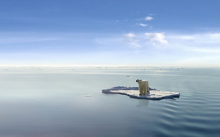 Sea ice with a lone polar bear