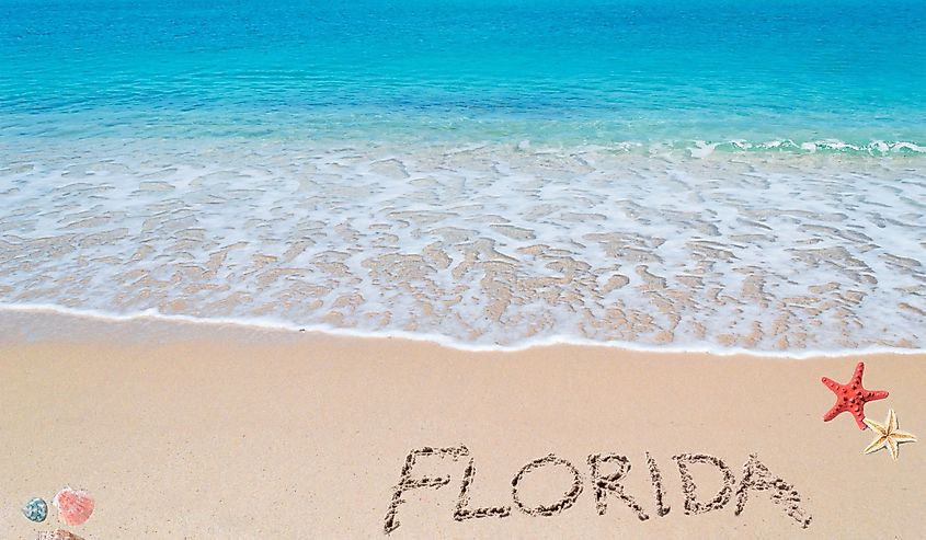 Turquoise water and golden sand with shells and sea stars and "Florida" written on it