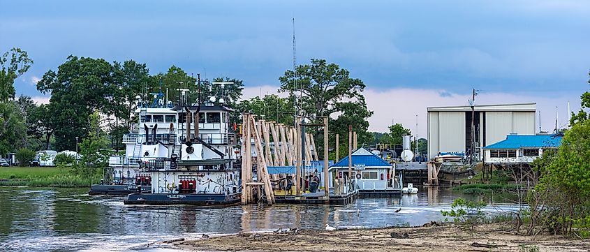 Barges on the Tombigbee River in Demopolis, Alabama