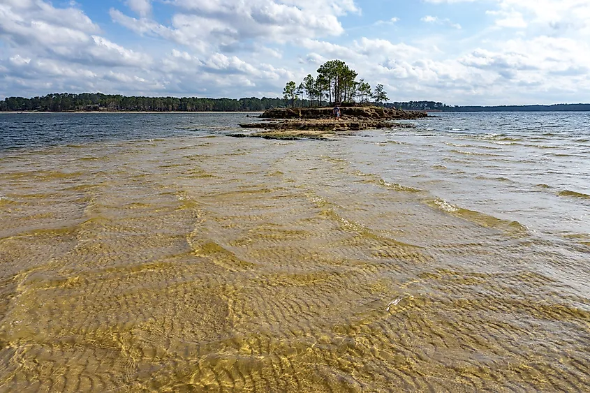 Islands in Sam Rayburn Reservoir, Texas