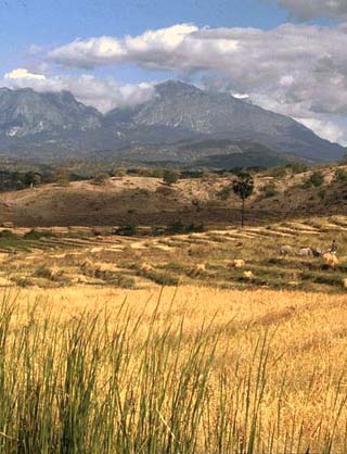 Geography of East Timor - World Atlas