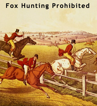 tudor fox hunting