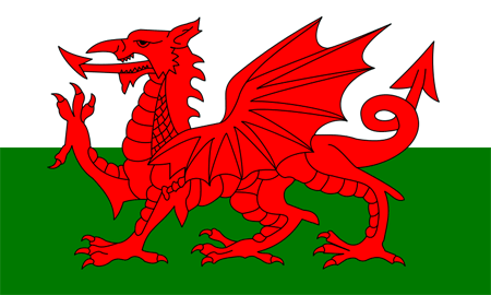 Welsh Fla