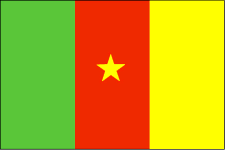 Cameroon flag and description