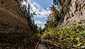 Madison Heritage Trail, a decommissioned railroad. Image credit arthurgphotography via Shutterstock.