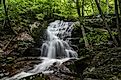 Crabtree Falls lower section, Virginia.