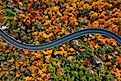 Top view of fall foliage along the Blue Ridge Parkway in North Carolina.