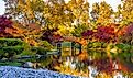 Sunset view of beautiful Japanese garden in Midwestern botanical garden in fall; traditional Japanese bridge in the background.