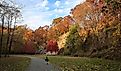 The rock climbing wall at Alapocas Run State Park, Wilmington, Delaware, USA in the colorful fall.