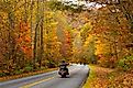 Fall foliage lining the Blue Ridge Parkway in Virginia.