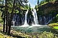 Burney Falls. Editorial credit: Sveta Imnadze / Shutterstock.com