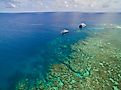 Coral Sea off the coast of Australia