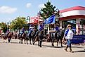 Wisconsin Dells, Wisconsin USA - September 19th, 2021: Members from Wisconsin Morgan Horse Club rode on horses in Wa Zha Wa fall festival parade.