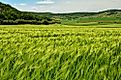 Agriculture is a significant industry in Romania. 