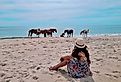 Wild horses of Assateague Island National Seashore, Maryland.