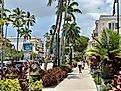 A quaint downtown street in the town of Naples, Florida. Editorial credit: Paulm1993 / Shutterstock.com