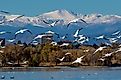 Autumn migration of American white pelicans at Cherry Creek State Park in suburban Denver, Colorado.