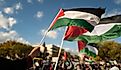 Washington DC, USA, Pro-Palestine protesters. Editorial credit: Volodymyr TVERDOKHLIB / Shutterstock.com