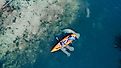 Kayaking with manatees at Crystal River, Florida.