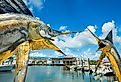 The Whale Harbor Marina in Islamorada, Florida is a popular tourist destination for the rental of yachts for fishing excursions in the beautiful Florida Keys. Image credit Fotoluminate LLC via Shutterstock