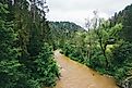 The Hornad River flowing through the forested landscape in Slovakia.