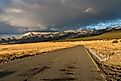 A road through the Great Sand Dunes National Park in Colorado.