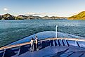 A cruise ship sailing in the Cook Strait.