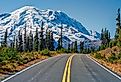 Mount Rainier in Washington State.