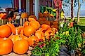 Fairhope, Alabama, USA - October 17, 2020: Pumpkins and other seasonal produce is displayed at McKenzie Farm Market in Fairhope, Alabama. Editorial credit: Carmen K. Sisson / Shutterstock.com